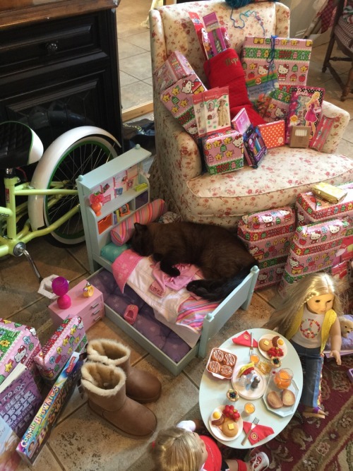 americanlibraryassoc: catsbeaversandducks: Doll Bed Is The New Box All photos via Reddit. Please cli