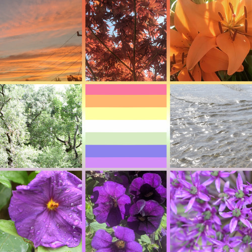 Trans gay moodboard, featuring a pretty flag I found recently by @fuccislidez-archivedAll other imag