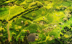 oakenbaggins:hobbit meme [&frac14;] locations: the shire&ldquo;you were born