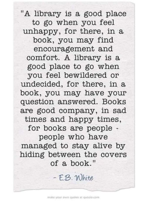“… A library is a good place to go when you feel bewildered or undecided, for there, in your 