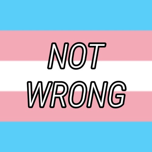 genderqueerpositivity:(Image description: six images with the trans flag as a background and text in