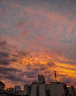 Llamas. (en Buenos Aires, Argentina) https://www.instagram.com/p/Bqq1zy7nUnm/?utm_source=ig_tumblr_share&amp;igshid=1mfcsebr7fwfj