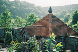 ingelnook:The garden. by MIKI Yoshihito (´･ω･)