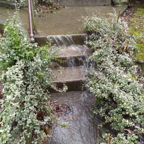 Rainy days are great for studying sidewalk hydrology. #rain #hydrology #river #lake #worldinminiatur