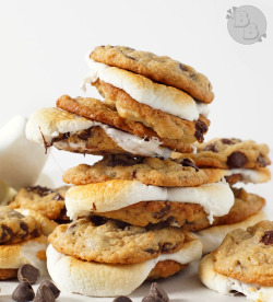 delicious-food-porn:S’mores Sandwich Cookiesdrool