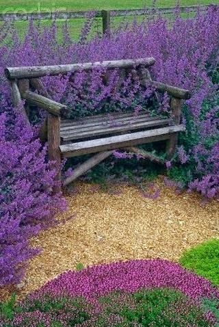 Bank of wood in a field of lavender