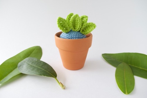 knot-bad:Sprouting Oddish