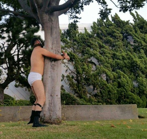 tightywhitiesguy:  Love outdoor play!  humping the jockey tree