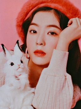 baeechu:  irene - season greetings 2019 💖