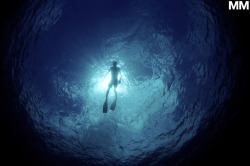 morganmaassen:  Evan Mock, floating weightlessly in Waimea Bay, Hawaii. 