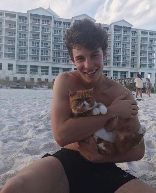 1. I wish I was that cat. 2. How is he that fucking beautiful while holding a cat. 3. His smile.4. T