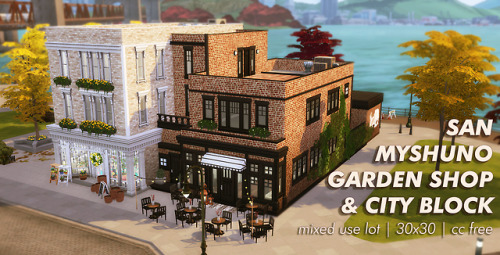 magnoliidae - SAN MYSHUNO GARDEN SHOP & CITY BLOCK30x30 ||...