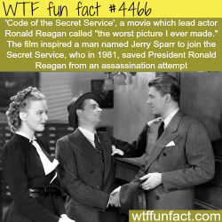 wtf-fun-factss:  Code of Secret Service -   WTF fun facts