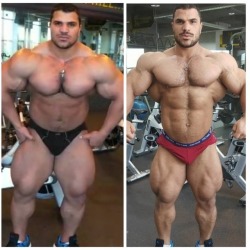 Hassan Mostafa - Do you prefer him bulking