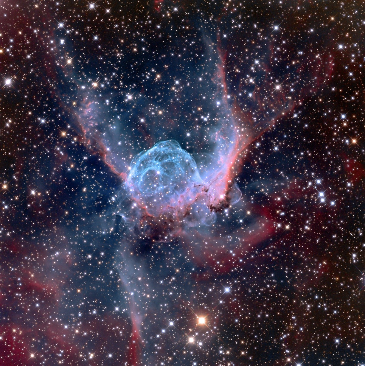 nevver:  Insight Astronomy Photographer of the Year