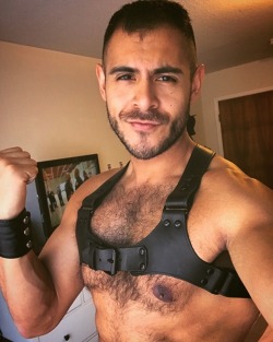 heyitscarlosjr: My first harness. ⛓😈🍆💦