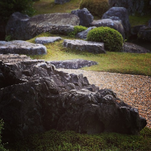 No.890 at Sanpo-in, Daigoji Temple, KyotoThere is a crocodilia even in a Japanese garden.