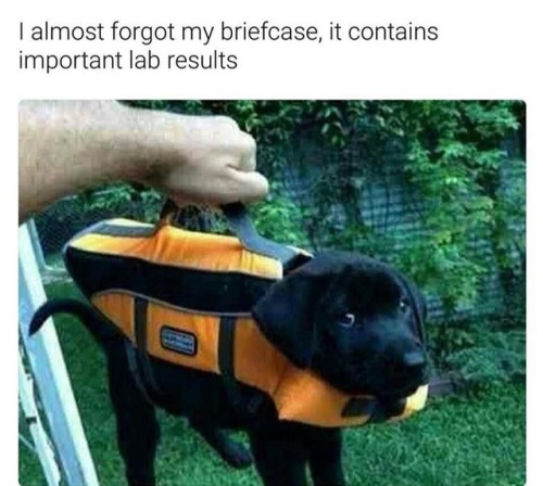 The Best of Tumblr