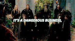 stilessderek:  Movies &amp; TV Shows I Love → (34/∞) ✘ The Lord Of The