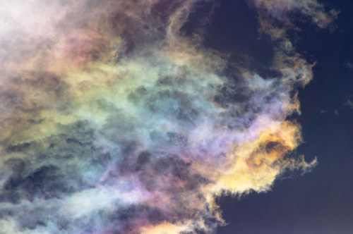 awkwardsituationist:  cloud iridescence — caused as light diffracts through tiny ice crystals or water droplets of uniform size, usually in lenticular clouds — photographed by rolf kohl. (more cloud pics) 