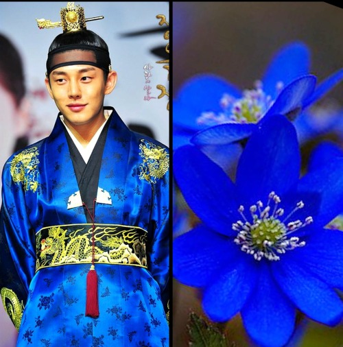 kdrama-same-same