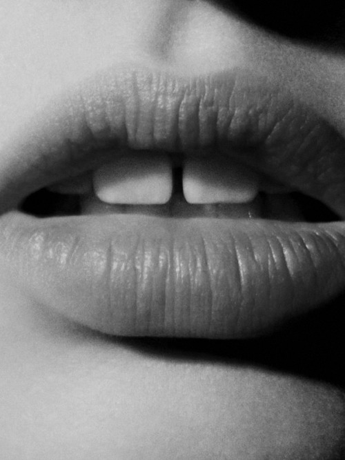 stlara:  la bouche | lara stone by sean & seng for 032c #26