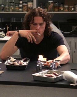 distractful:  10 Things I Hate About You (1999)