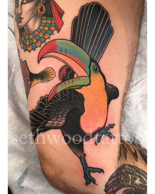 sethwoodtattoo: Fun late-night toucan for john @memoirtattoo Tucked her in right next to one of my a