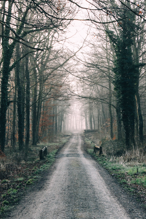olli-dressler:  Photographer: ollidressler | instagram | facebook | twitter