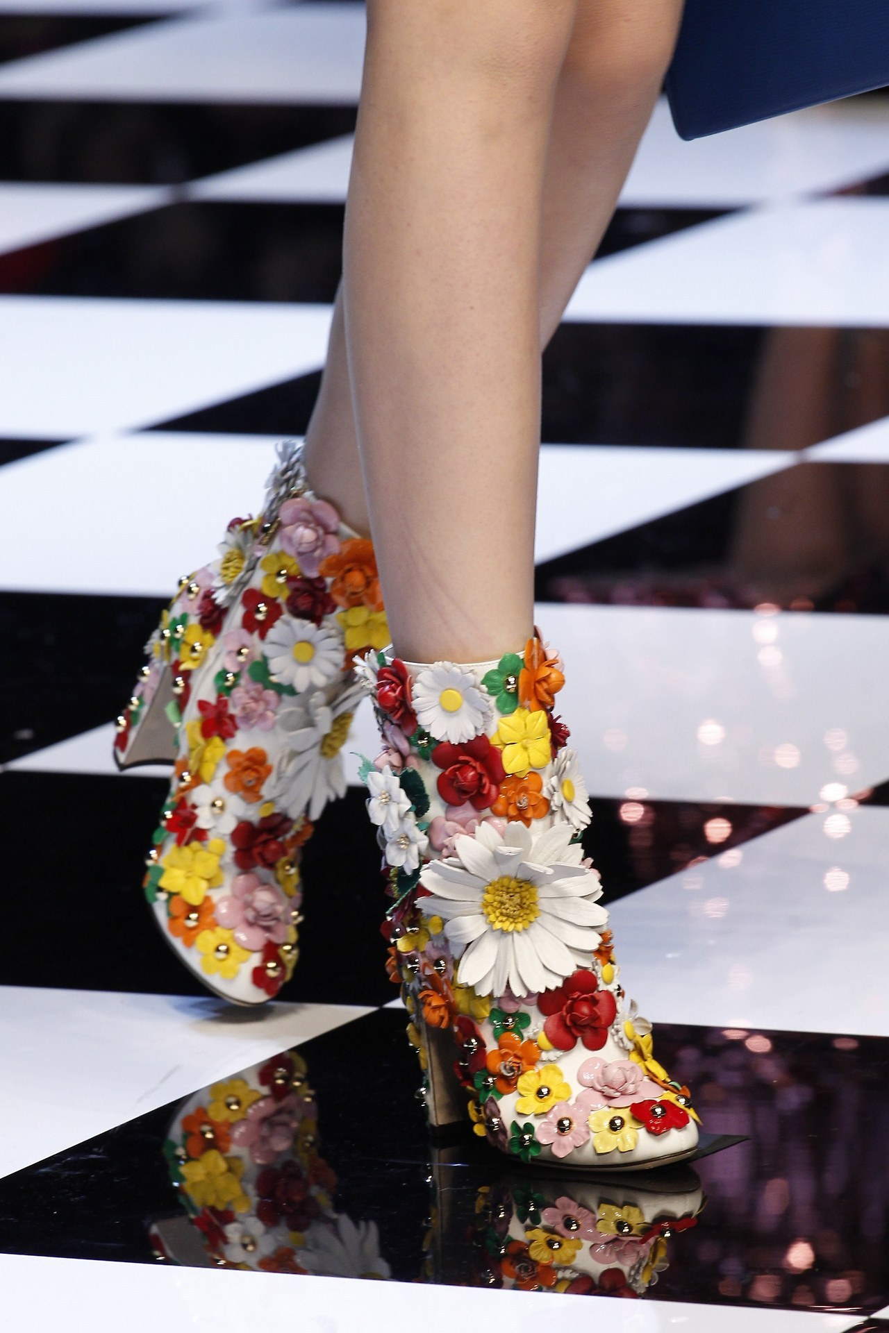 analife:  Dolce &amp; Gabbana // Ready to Wear - Fall 2016