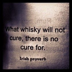 equalpartsswaggerandsmarts:  WHISKY IS THE CURE