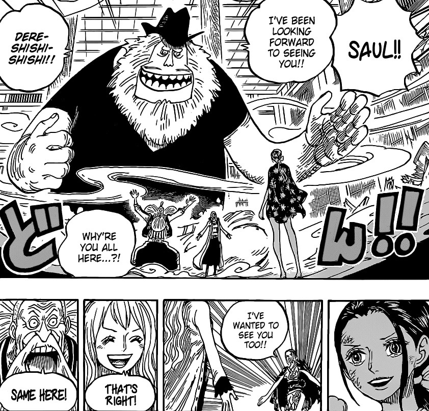 Potential Flower-Flower Fruit and Chop-Chop Fruit combo (Contains Chapter  1020+ Spoilers on Specific Sections) : r/OnePiece