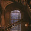 academias-diggory