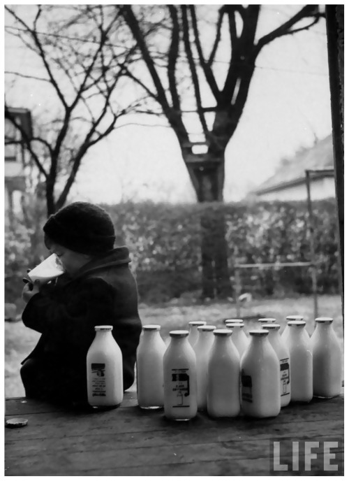 yama-bato:  Small boy helping himself to milk, as other bottles delivered to family on every other d