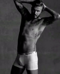 celebritymeat:  David Beckham.