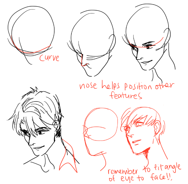 kelpls:  A BUNCH OF PEOPLE ASKED BABOUT HEADS AND HEAD ANFLGES SO YEAH I JSUT DUMPED