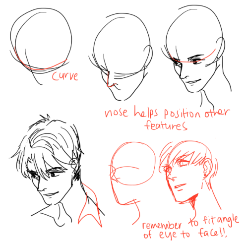 kelpls:  A BUNCH OF PEOPLE ASKED BABOUT HEADS AND HEAD ANFLGES SO YEAH I JSUT DUMPED IT ALL ON ONe i’m not relaly suere what tips to give on this i yeah HOPE IT HELPS THERE REALLY ISN"T A FIXED PROPRTION for faces because people have different