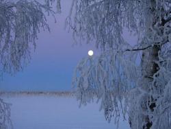 stupidst:  Smallest Full Moon of Year Packs an Icy Punch, in Any Language Bracketed by the Geminid meteor shower and the Winter Solstice, the December full moon bids farewell to 2013 as the smallest one of the year.On December 17 the shrunken orb will