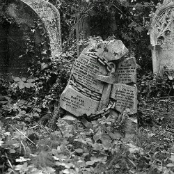 madness-and-gods:  Sunken ship victims gravestone wrapped in an anchor. Highgate cemetery 