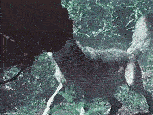 Rhetthammersmithhorror:buffalo Rider | 1976