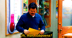 allsonargent:  PARKS AND RECREATION COLD OPENS » 5x17 - Partridge 