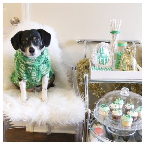 @louis_the_beagle is giving you a peek at our #StPaddysDay #barcart coming to #STYLEanthropyHome ☘☘ 