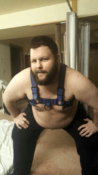 kimatiger:Was at my friend’s house the other night and got to try on his pup gear. The hood is a bit small for my large head but the harness fits perfectly!