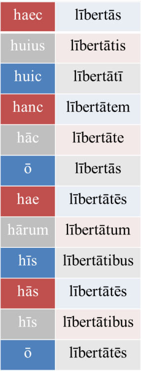 o-eheu:lībertās, lībertātis - freedom, liberty-Beniaminus(image source)