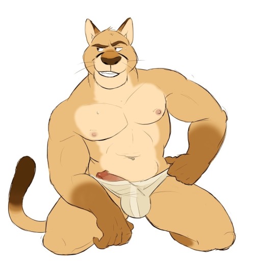 Sex naughty-gay-yiff:  Sexy Puma!  @naughty-gay-yiff pictures