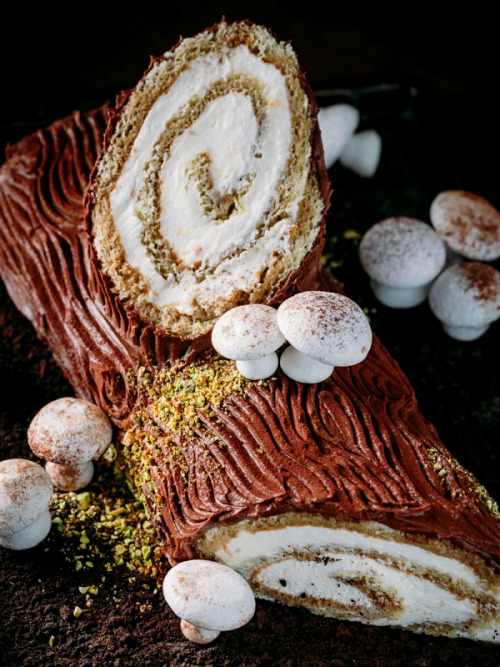 vtasty:  vTasty- Visually Tasty Food Blog Tiramisu Yule Log Cake via Tumblr 