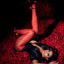 vixen-fiction