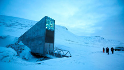 clickholeofficial:I Can’t Protect My Son From Everything, But If I Lock Him In The Svalbard Global Seed Vault I’ve Narrowed The Threat Down To Just Seeds
