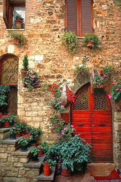 bonitavista:  Assisi, Italy photo via artandall