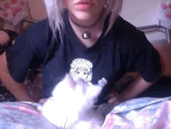 https://69.media.tumblr.com/843ccd9c5142ca709a7412e7c709ab7a/tumblr_nnc2dn4vWD1tj9oaso1_400.gif
